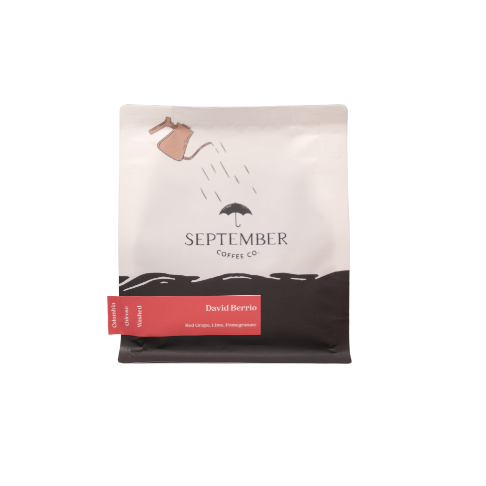 David Berrio/ Colombia/ Chiroso/ Wished/ 250g